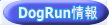 DogRun 