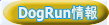 DogRun 